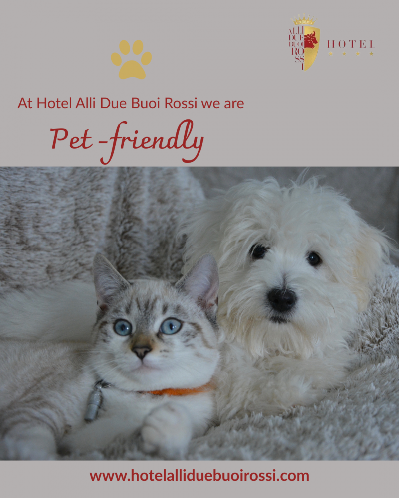 Hotel Alli Due Buoi Rossi is Pet Friendly
